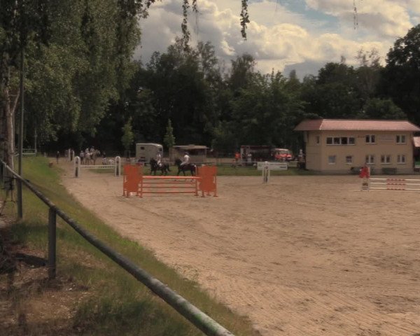 Reitturnier Lgl.-Oberhain, B95 2020