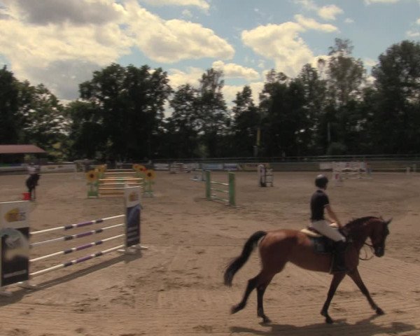Reitturnier Lgl.-Oberhain, B95 2020