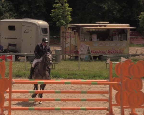 Reitturnier Lgl.-Oberhain, B95 2020