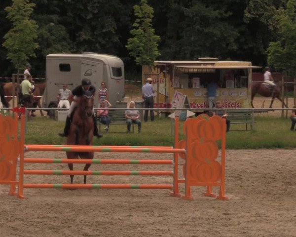 Reitturnier Lgl.-Oberhain, B95 2020