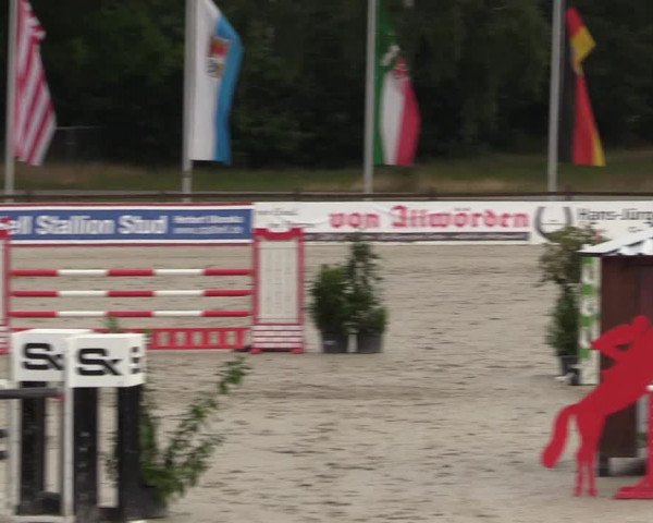 Reitturnier Westergellersen - Luhmühlen 2020