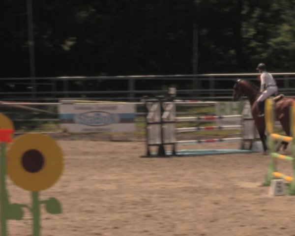 Reitturnier Lgl.-Oberhain, B95 2020