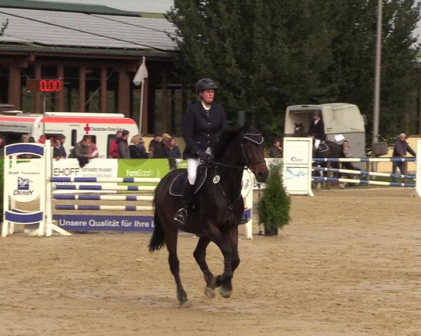 Reitturnier Everswinkel 2021