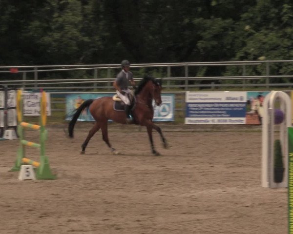 Reitturnier Lgl.-Oberhain, B95 2020