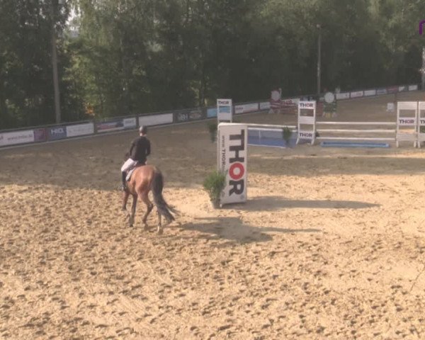 Reitturnier Uder, Reitanlage Kobold 2020