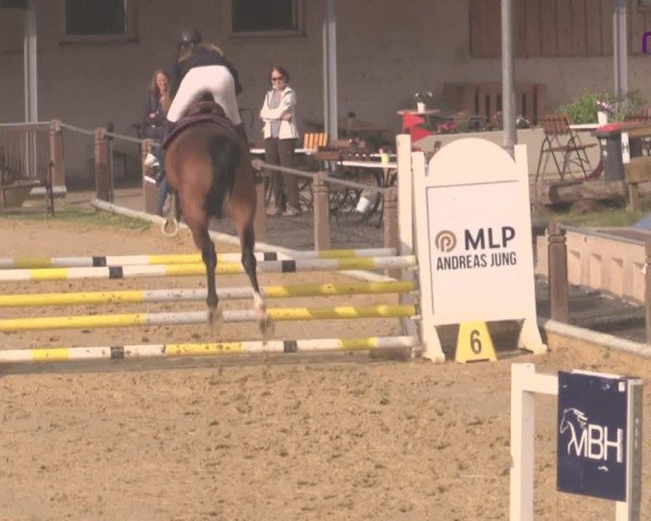 Reitturnier Uder, Reitanlage Kobold 2020