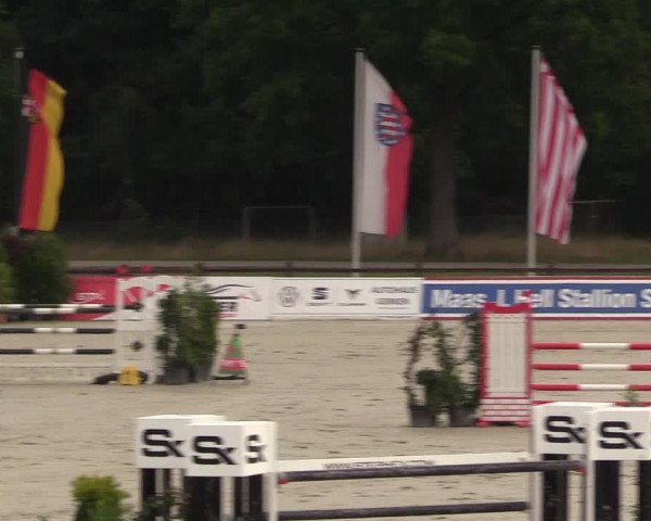 Reitturnier Westergellersen - Luhmühlen 2020