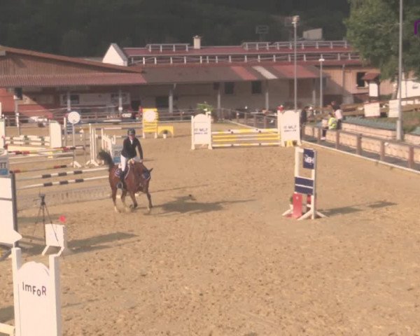 Reitturnier Uder, Reitanlage Kobold 2020