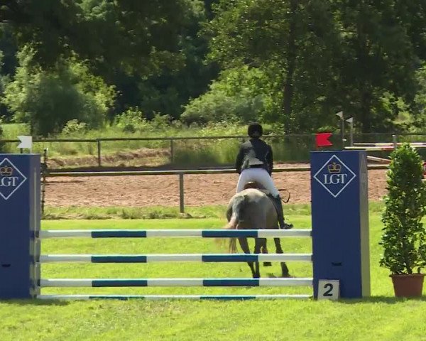 Reitturnier Hahnbach/Opf. 2020