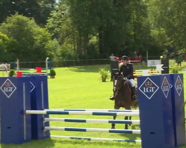 Reitturnier Hahnbach/Opf. 2020