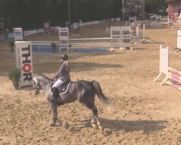 Reitturnier Uder, Reitanlage Kobold 2020