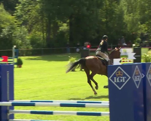 Reitturnier Hahnbach/Opf. 2020