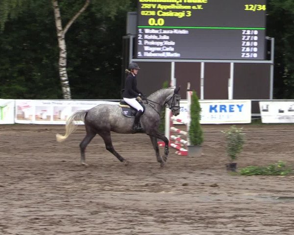Reitturnier Seppenrade 2020