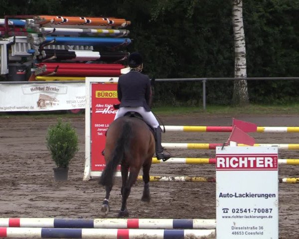 Reitturnier Seppenrade 2020