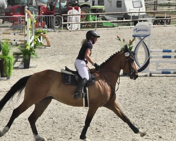 Reitturnier Worms-Pfeddersheim / Reitsportanlage Wittemer 2020