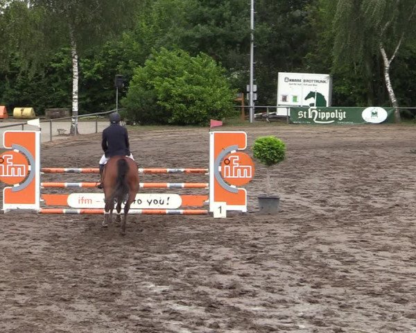 Reitturnier Seppenrade 2020