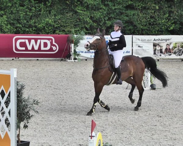 Reitturnier Worms-Pfeddersheim / Reitsportanlage Wittemer 2020