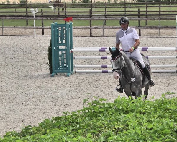 Reitturnier Worms-Pfeddersheim / Reitsportanlage Wittemer 2020