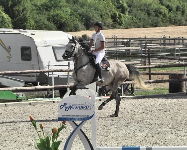 Reitturnier Worms-Pfeddersheim / Reitsportanlage Wittemer 2020