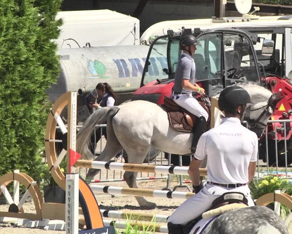 Reitturnier Worms-Pfeddersheim / Reitsportanlage Wittemer 2020