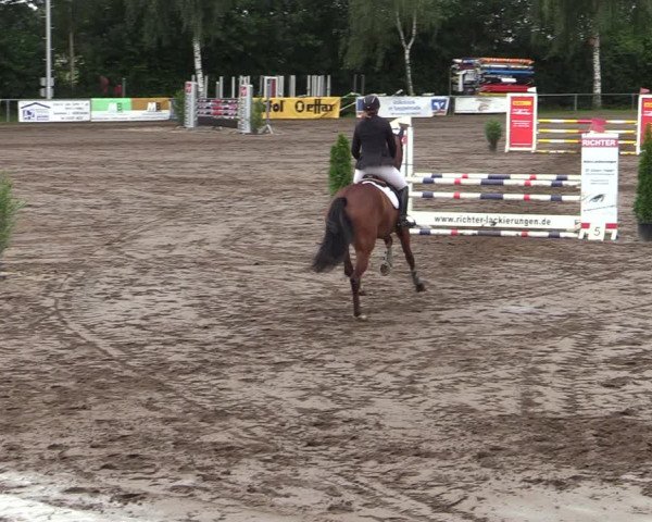 Reitturnier Seppenrade 2020