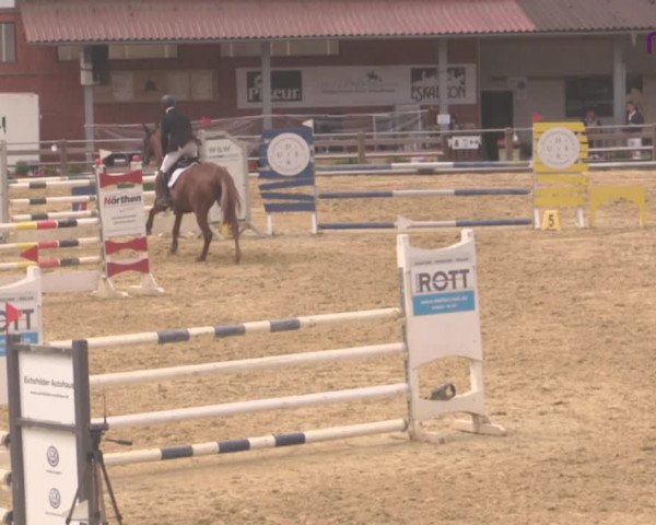 Reitturnier Uder, Reitanlage Kobold 2020
