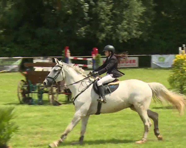 Reitturnier Hahnbach/Opf. 2020