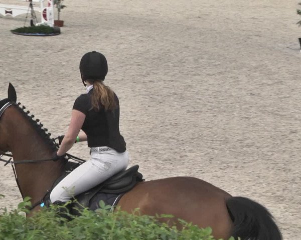 Reitturnier Worms-Pfeddersheim / Reitsportanlage Wittemer 2020