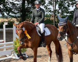 Dressurpferd Escada (Hannoveraner, 2016, von Edward 28)