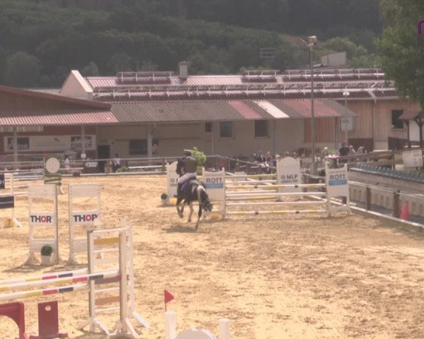 Reitturnier Uder, Reitanlage Kobold 2020