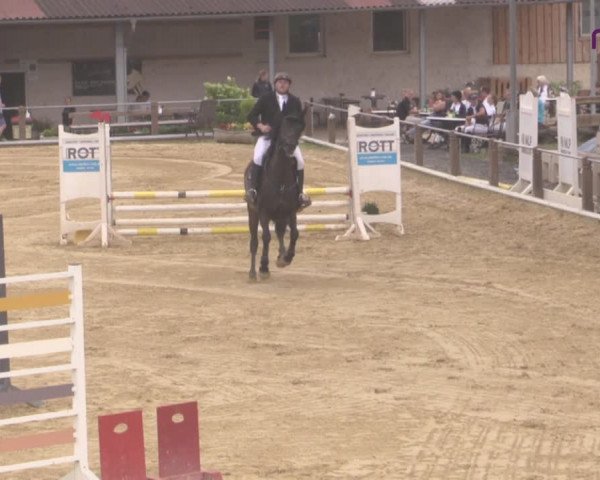 Jezdecký turnaj Uder, Reitanlage Kobold 2020