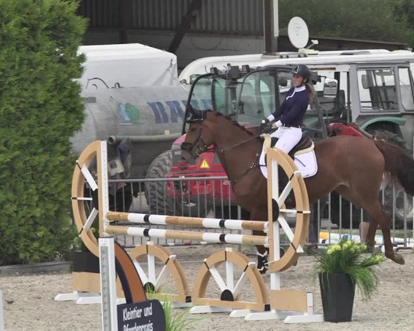 Reitturnier Worms-Pfeddersheim / Reitsportanlage Wittemer 2020