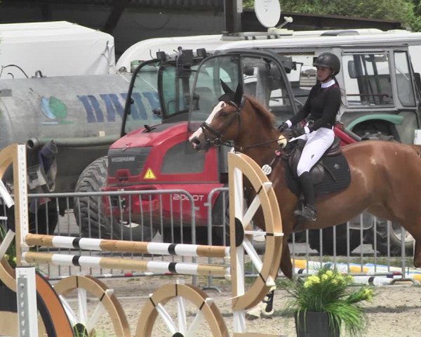Reitturnier Worms-Pfeddersheim / Reitsportanlage Wittemer 2020