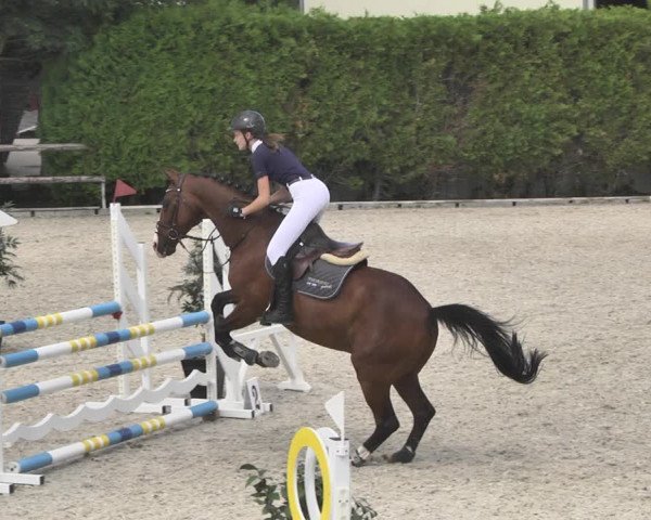 Reitturnier Worms-Pfeddersheim / Reitsportanlage Wittemer 2020
