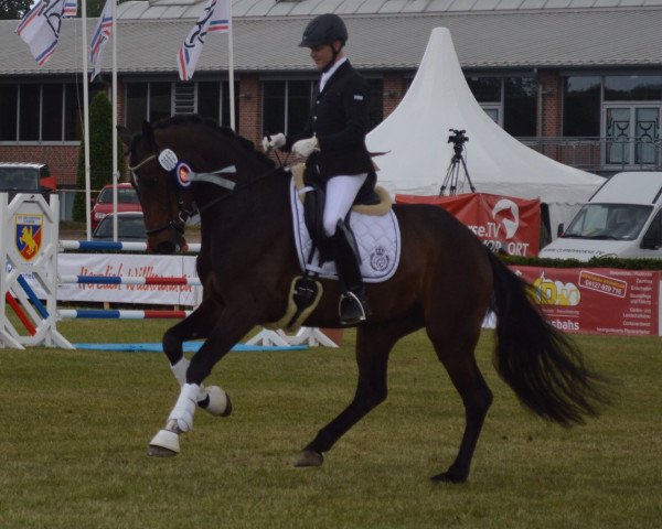 broodmare Empire of the Sun 4 (Holsteiner, 2012, from Catoo)
