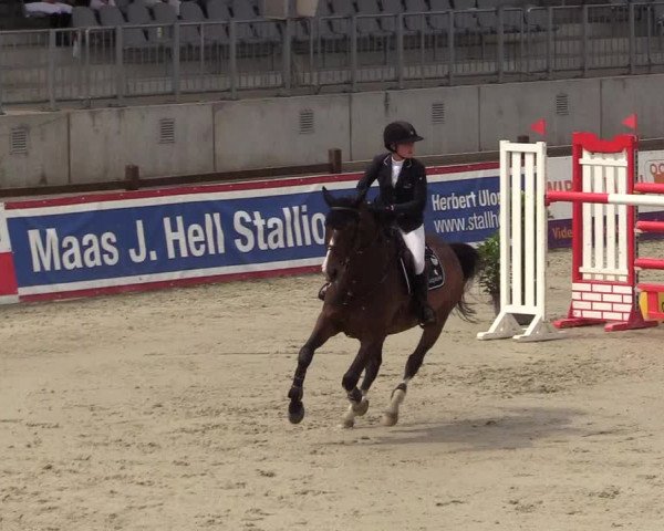 Reitturnier Westergellersen - Luhmühlen 2020