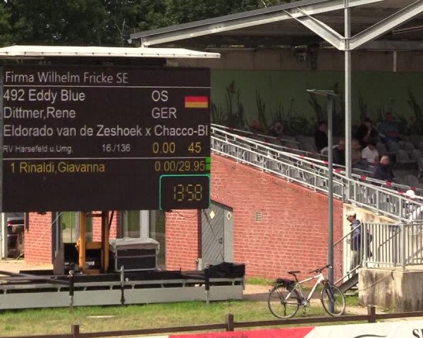 Reitturnier Westergellersen - Luhmühlen 2020