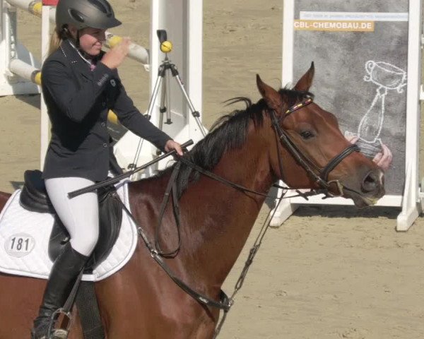 Reitturnier Leingarten 2021