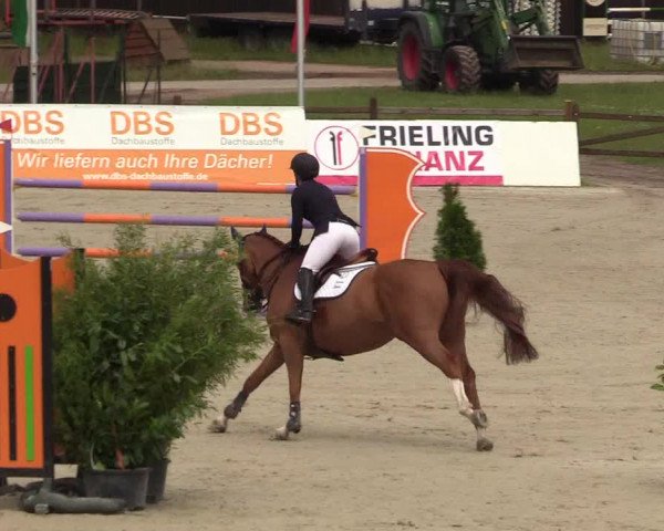 Reitturnier Westergellersen - Luhmühlen 2020