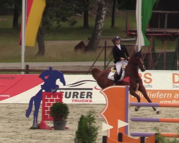 Reitturnier Westergellersen - Luhmühlen 2020