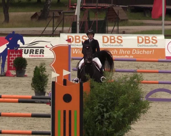Reitturnier Westergellersen - Luhmühlen 2020