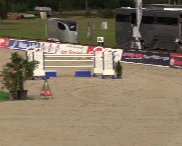 Reitturnier Westergellersen - Luhmühlen 2020
