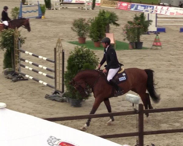 Reitturnier Westergellersen - Luhmühlen 2020