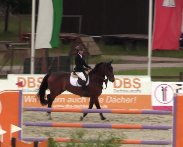 Reitturnier Westergellersen - Luhmühlen 2020