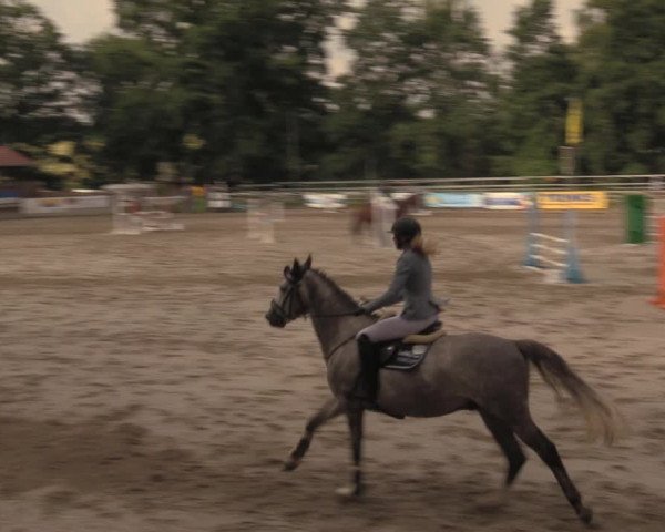 Reitturnier Lgl.-Oberhain, B95 2020