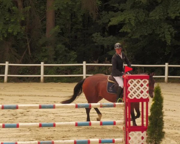 Reitturnier Losheim 2020