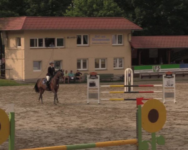 Reitturnier Lgl.-Oberhain, B95 2020