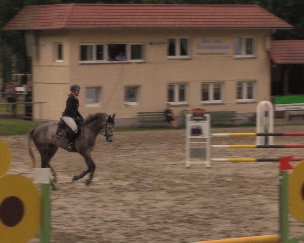 Reitturnier Lgl.-Oberhain, B95 2020