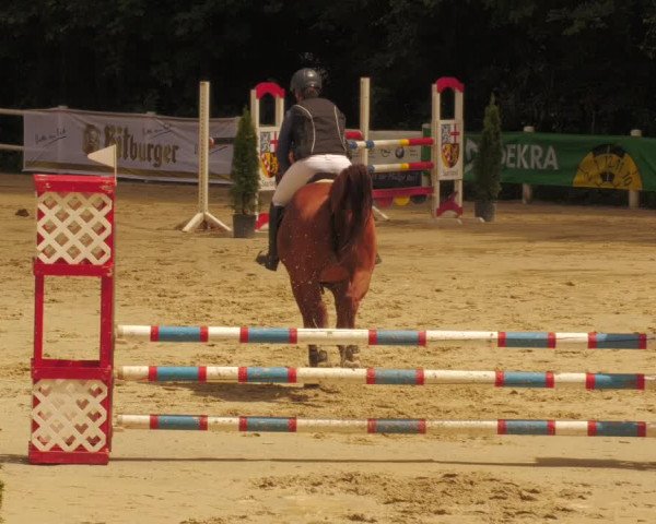Reitturnier Losheim 2020
