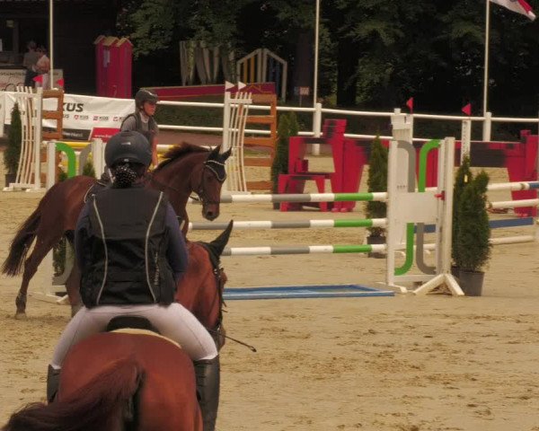 Reitturnier Losheim 2020